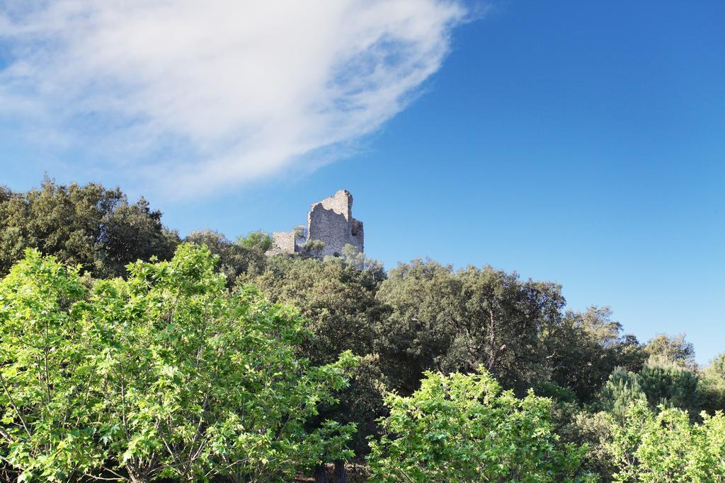Appart hôtel Résidence Prestige Odalys La Palmeraie